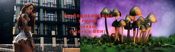 мдма Снежногорск