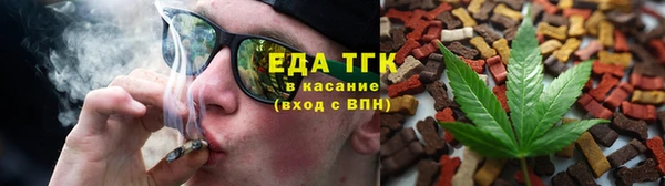 гидра Богородицк
