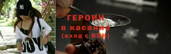гидра Богородицк