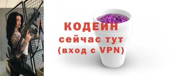 гидра Богородицк