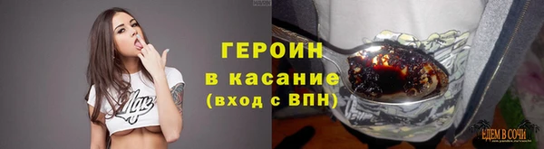 гидра Богородицк
