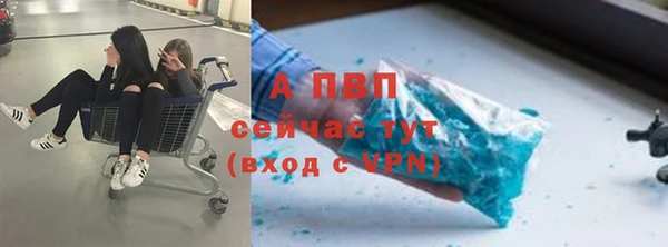 гидра Богородицк