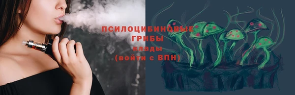 соль ск Богданович