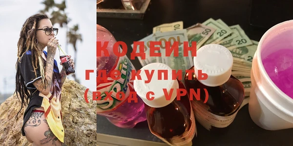 дживик Бородино