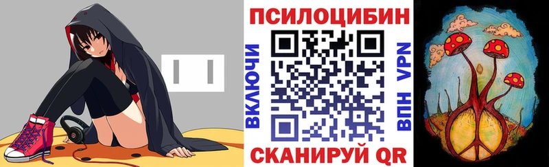 Галлюциногенные грибы GOLDEN TEACHER  наркошоп  Можайск 
